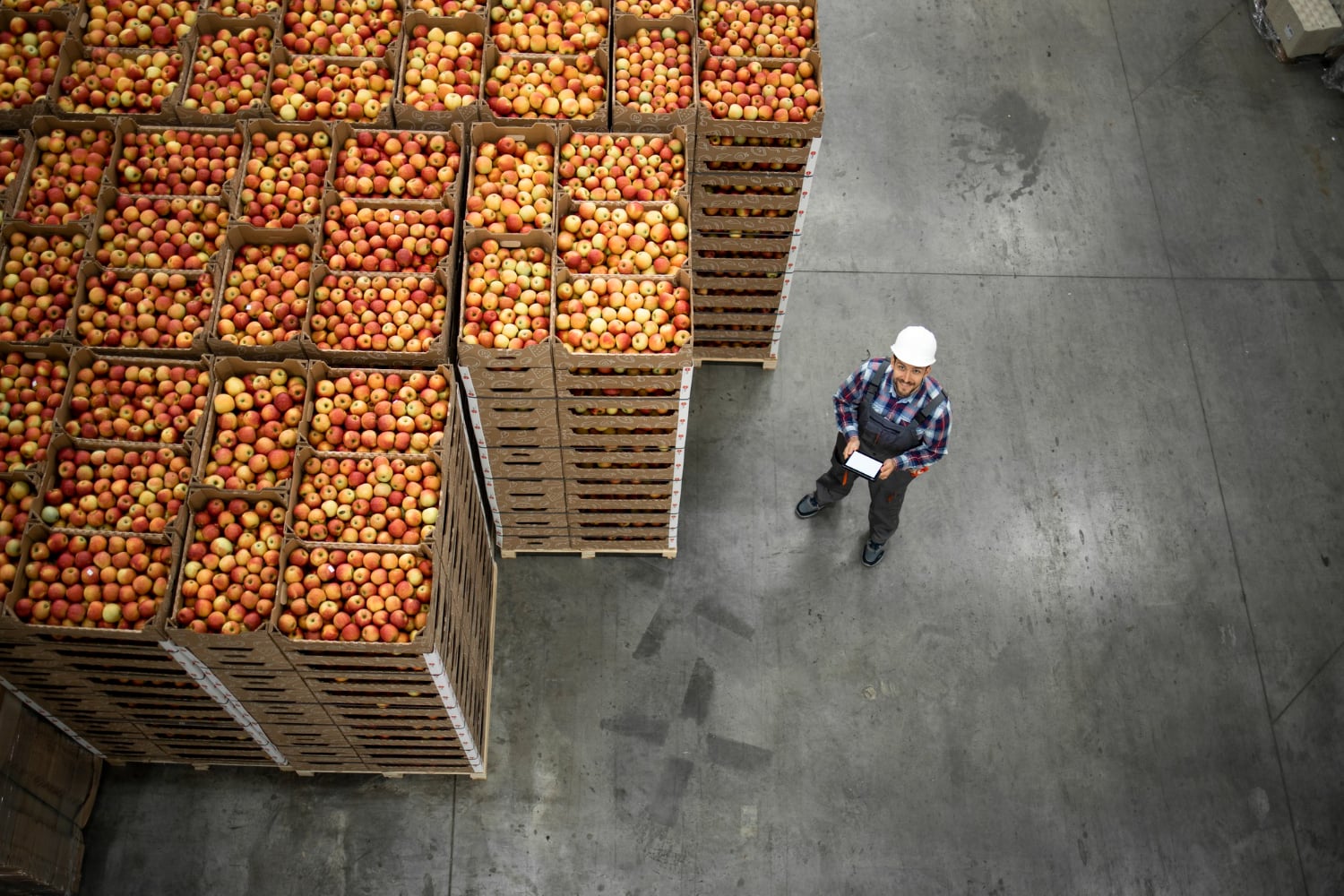 Inside Warehouse Sanitation Services for Food and Beverage Operators