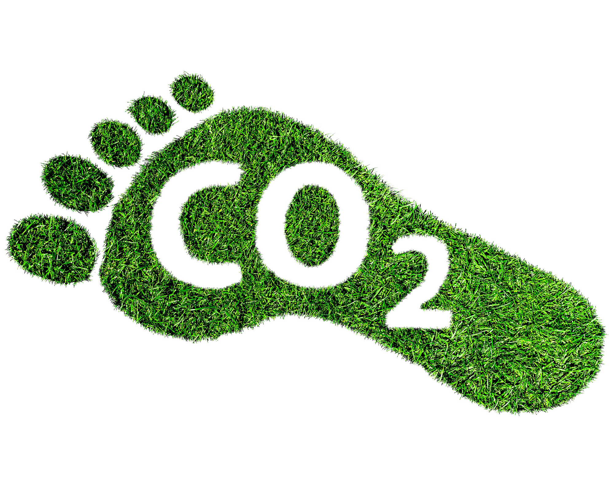 Why you should consider reducing your building's carbon footprint