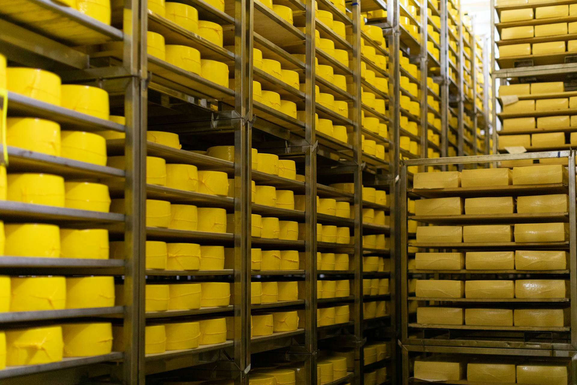 Warehouse Cleaning for Food Safety and Compliance: Dust, Pests, Allergens